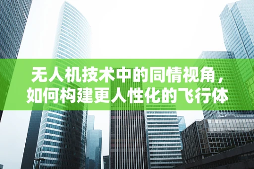 无人机技术中的同情视角，如何构建更人性化的飞行体验？