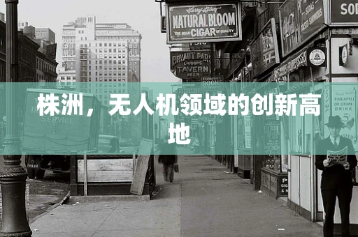 株洲，无人机领域的创新高地