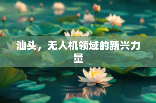 汕头，无人机领域的新兴力量
