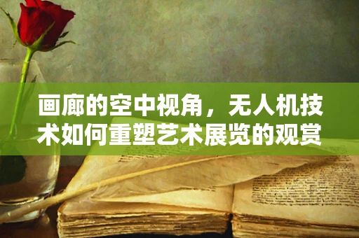 画廊的空中视角，无人机技术如何重塑艺术展览的观赏体验？
