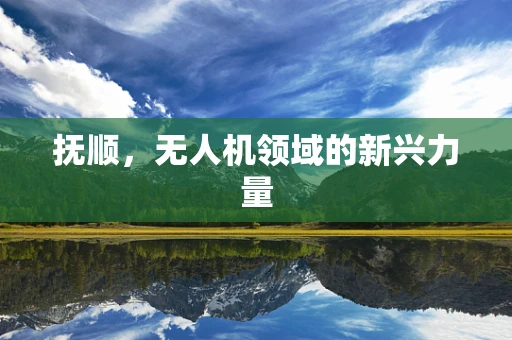 抚顺，无人机领域的新兴力量