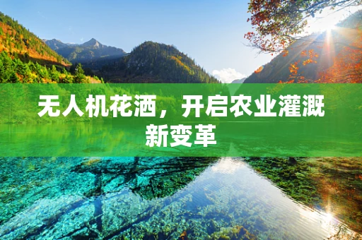 无人机花洒，开启农业灌溉新变革