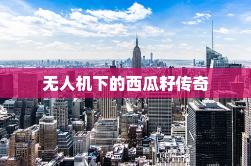 无人机下的西瓜籽传奇