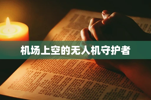 机场上空的无人机守护者