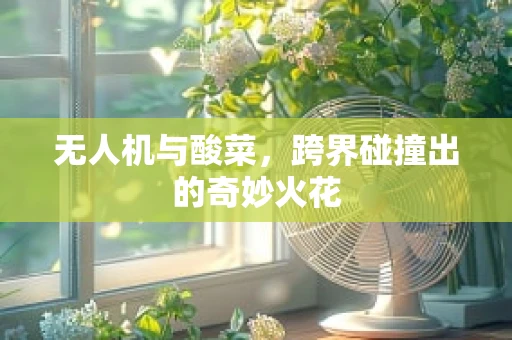 无人机与酸菜，跨界碰撞出的奇妙火花