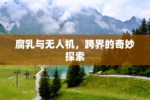 腐乳与无人机，跨界的奇妙探索