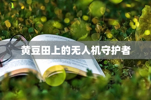 黄豆田上的无人机守护者