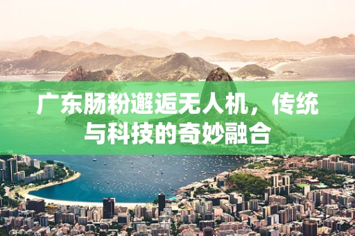 广东肠粉邂逅无人机，传统与科技的奇妙融合