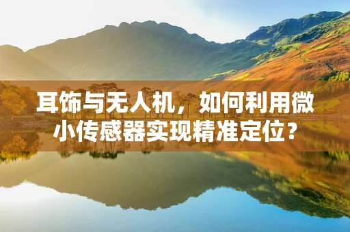 耳饰与无人机，如何利用微小传感器实现精准定位？