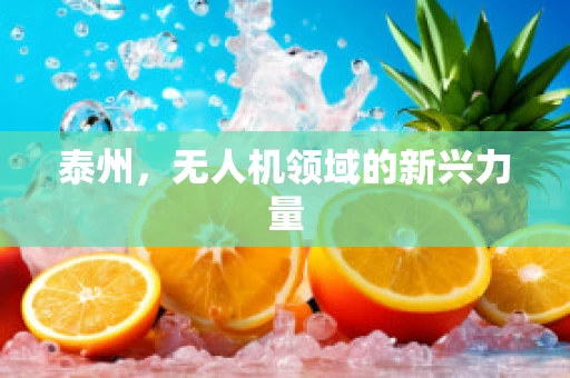泰州，无人机领域的新兴力量