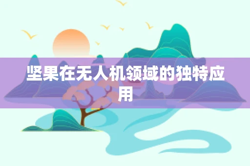 坚果在无人机领域的独特应用