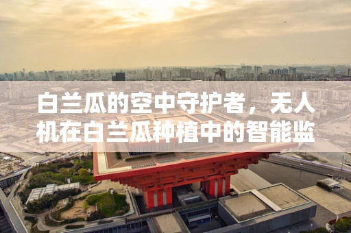 白兰瓜的空中守护者，无人机在白兰瓜种植中的智能监测应用？