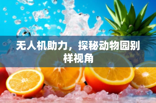 无人机助力，探秘动物园别样视角