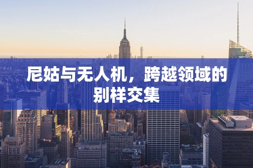 尼姑与无人机，跨越领域的别样交集