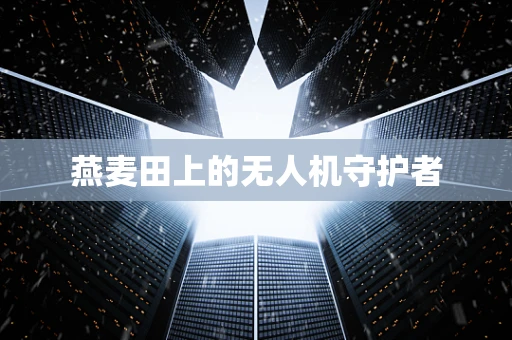燕麦田上的无人机守护者