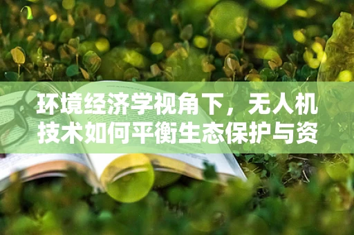 环境经济学视角下，无人机技术如何平衡生态保护与资源监测？