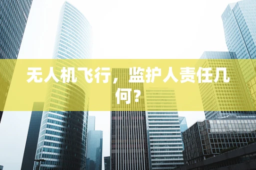 无人机飞行，监护人责任几何？