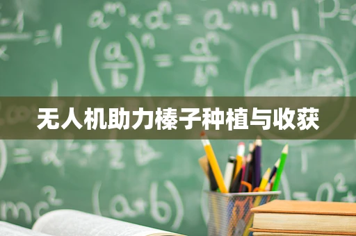 无人机助力榛子种植与收获