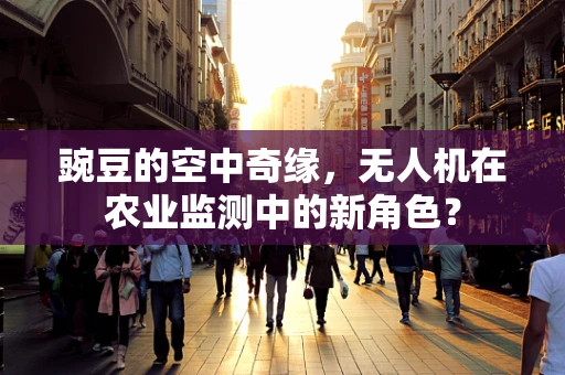 豌豆的空中奇缘，无人机在农业监测中的新角色？