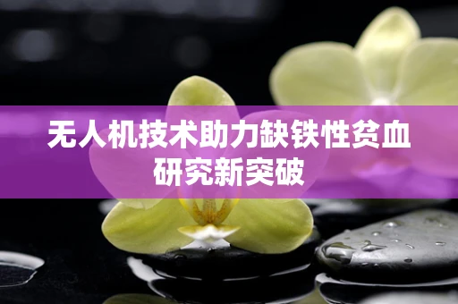 无人机技术助力缺铁性贫血研究新突破