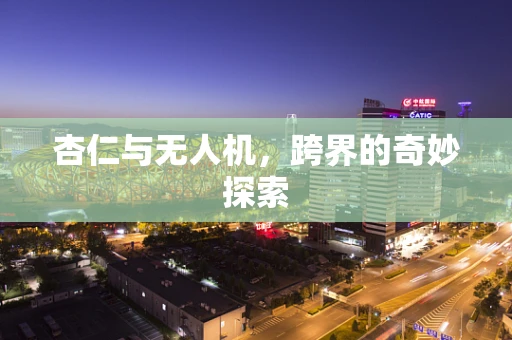 杏仁与无人机，跨界的奇妙探索