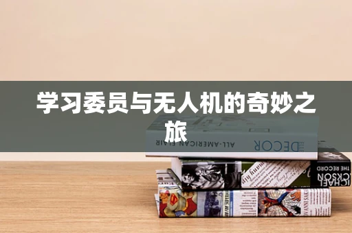 学习委员与无人机的奇妙之旅