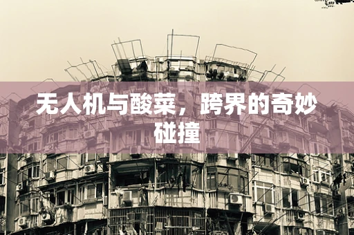 无人机与酸菜，跨界的奇妙碰撞