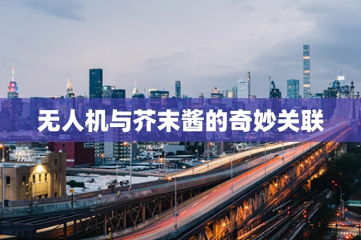 无人机与芥末酱的奇妙关联