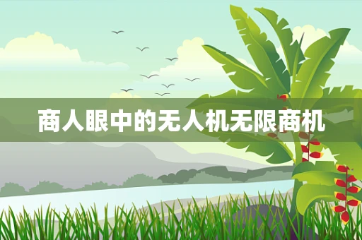 商人眼中的无人机无限商机