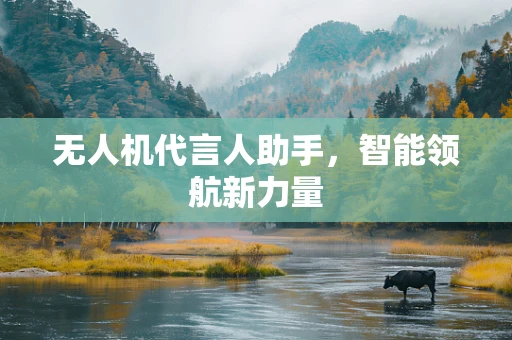 无人机代言人助手，智能领航新力量