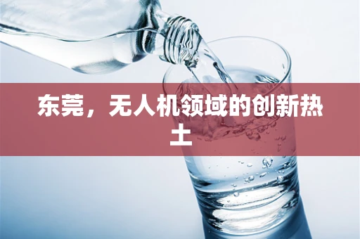 东莞，无人机领域的创新热土