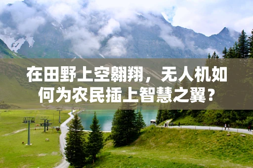 在田野上空翱翔，无人机如何为农民插上智慧之翼？