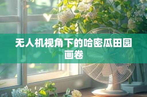 无人机视角下的哈密瓜田园画卷
