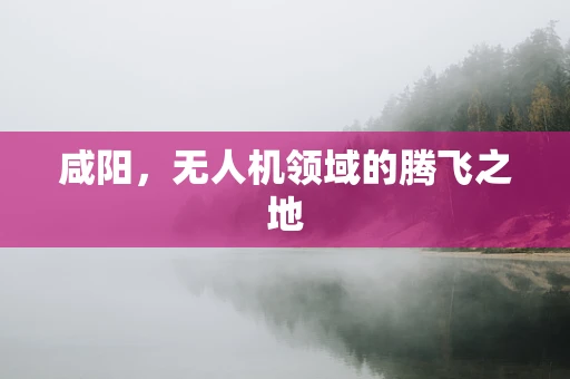 咸阳，无人机领域的腾飞之地