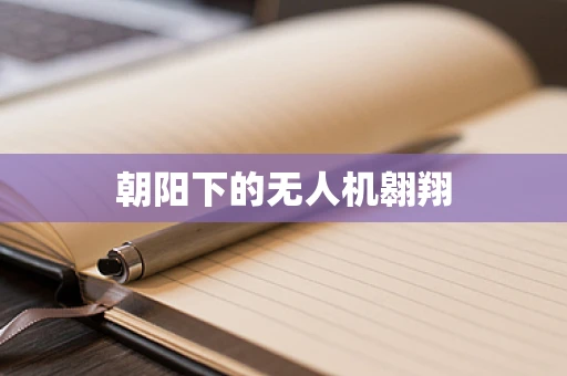 朝阳下的无人机翱翔