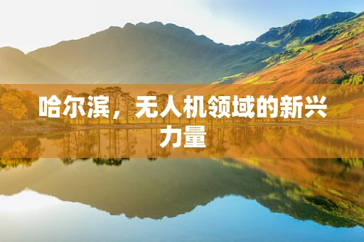 哈尔滨，无人机领域的新兴力量