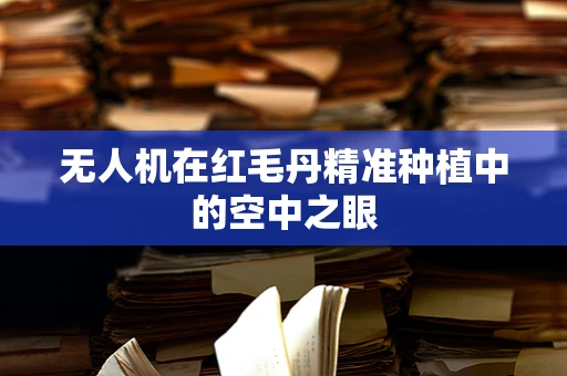 无人机在红毛丹精准种植中的空中之眼