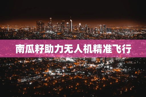 南瓜籽助力无人机精准飞行