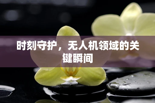 时刻守护，无人机领域的关键瞬间