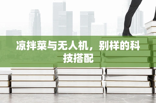 凉拌菜与无人机，别样的科技搭配