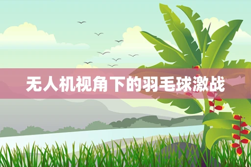 无人机视角下的羽毛球激战