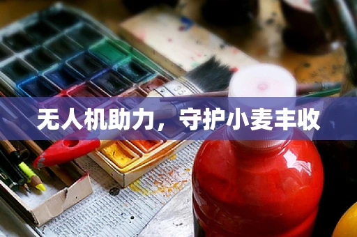 无人机助力，守护小麦丰收