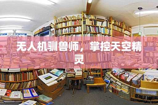 无人机驯兽师，掌控天空精灵