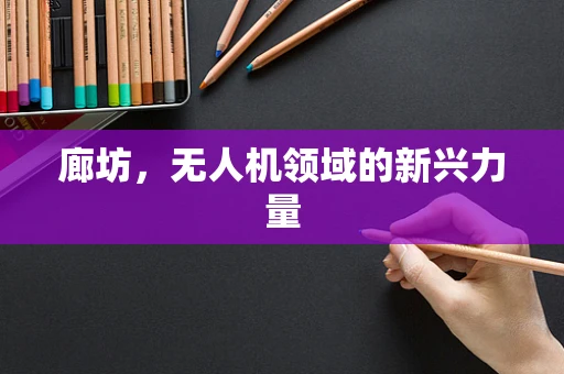 廊坊，无人机领域的新兴力量
