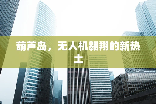 葫芦岛，无人机翱翔的新热土