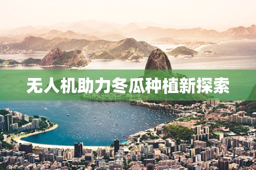 无人机助力冬瓜种植新探索
