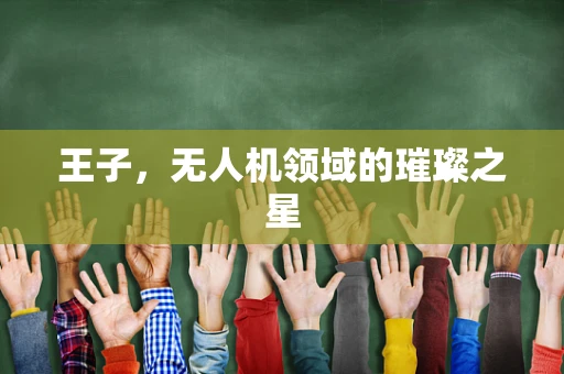 王子，无人机领域的璀璨之星