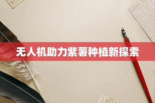 无人机助力紫薯种植新探索