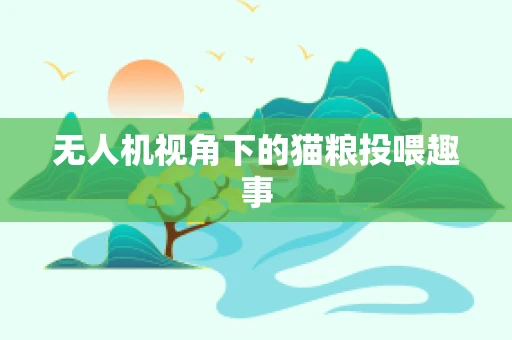无人机视角下的猫粮投喂趣事