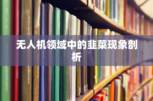 无人机领域中的韭菜现象剖析